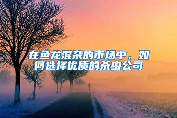 在鱼龙混杂的市场中，如何选择优质的杀虫公司