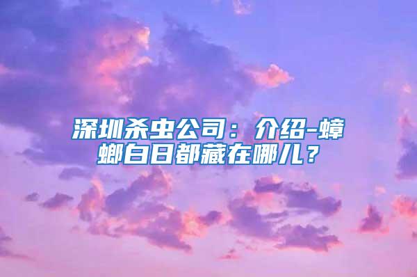 深圳杀虫公司：介绍-蟑螂白日都藏在哪儿？