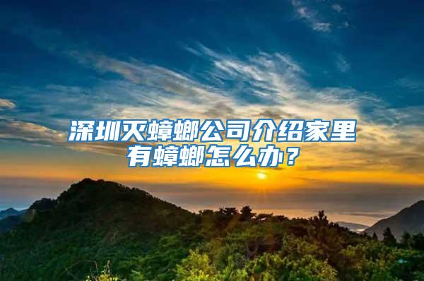 深圳灭蟑螂公司介绍家里有蟑螂怎么办？