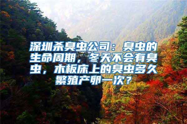 深圳杀臭虫公司：臭虫的生命周期，冬天不会有臭虫，木板床上的臭虫多久繁殖产卵一次？