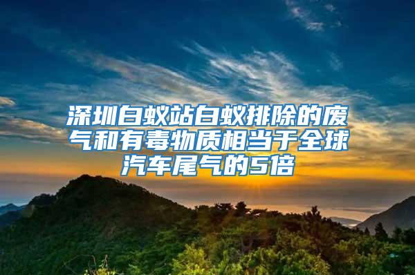 深圳白蚁站白蚁排除的废气和有毒物质相当于全球汽车尾气的5倍