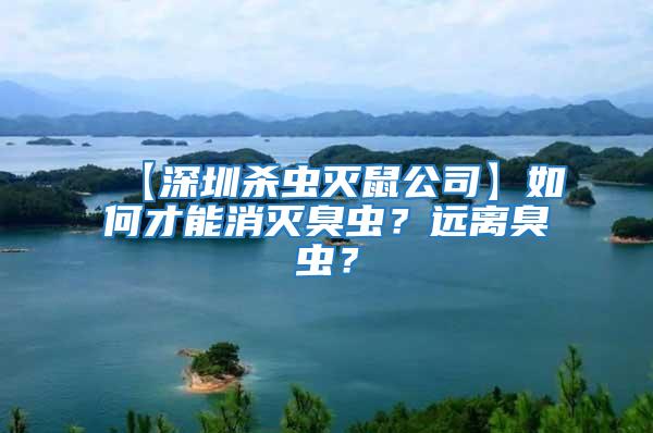 【深圳杀虫灭鼠公司】如何才能消灭臭虫？远离臭虫？