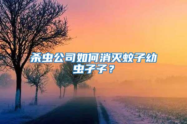 杀虫公司如何消灭蚊子幼虫孑孓？