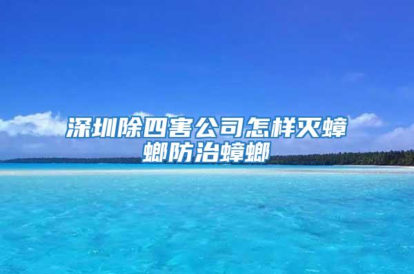 深圳除四害公司怎样灭蟑螂防治蟑螂