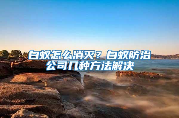 白蚁怎么消灭？白蚁防治公司几种方法解决