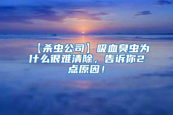 【杀虫公司】吸血臭虫为什么很难清除，告诉你2点原因！