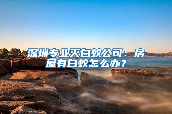 深圳专业灭白蚁公司：房屋有白蚁怎么办？