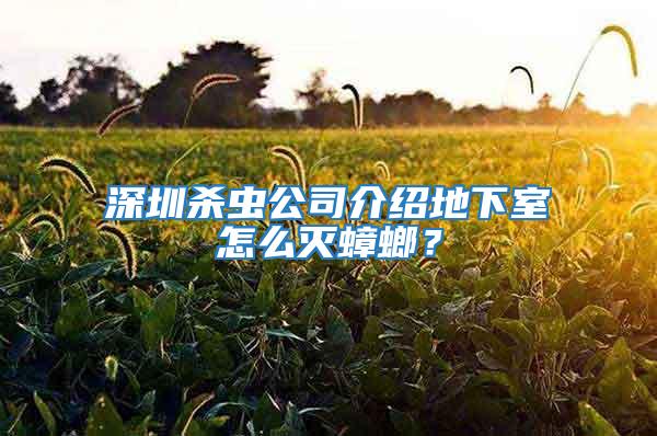 深圳杀虫公司介绍地下室怎么灭蟑螂？