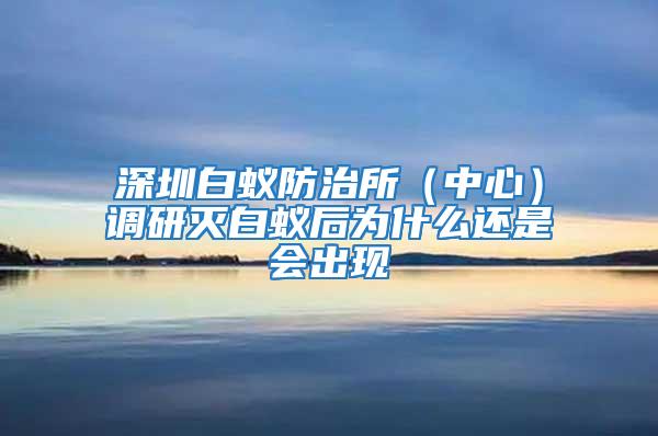 深圳白蚁防治所（中心）调研灭白蚁后为什么还是会出现