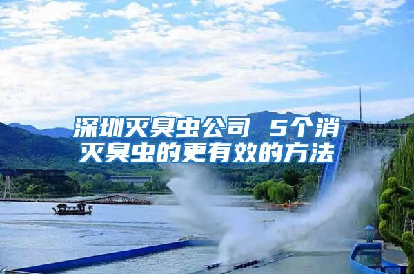 深圳灭臭虫公司 5个消灭臭虫的更有效的方法