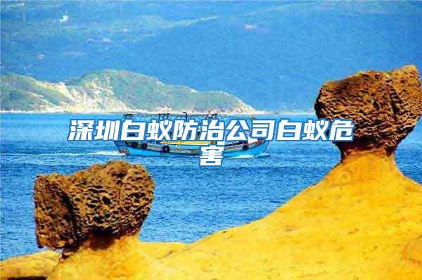 深圳白蚁防治公司白蚁危害