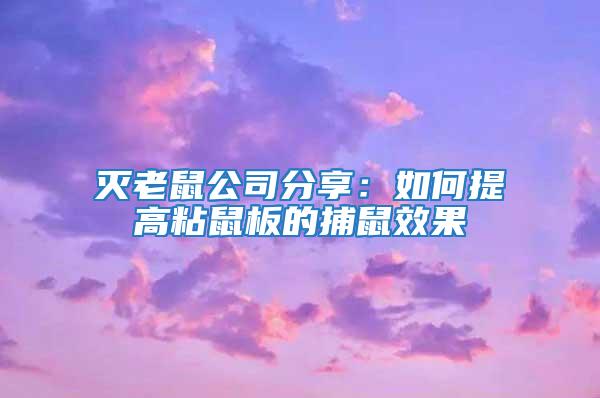 灭老鼠公司分享：如何提高粘鼠板的捕鼠效果