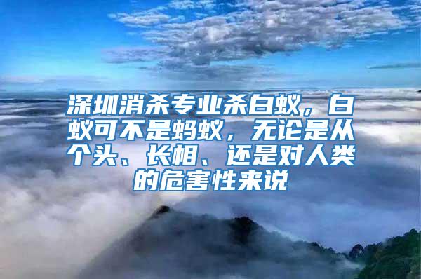 深圳消杀专业杀白蚁，白蚁可不是蚂蚁，无论是从个头、长相、还是对人类的危害性来说