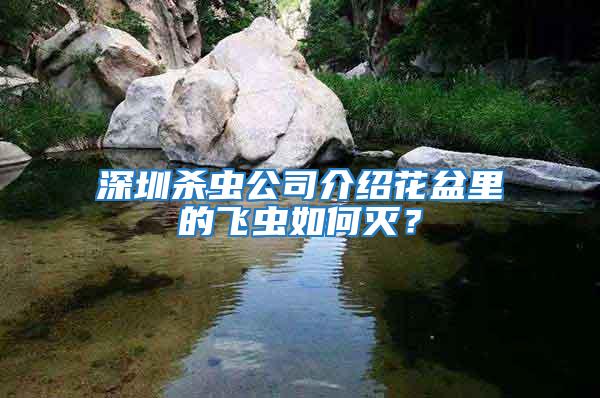 深圳杀虫公司介绍花盆里的飞虫如何灭？