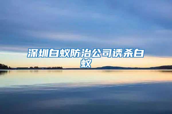 深圳白蚁防治公司诱杀白蚁