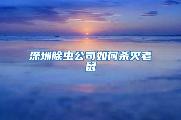 深圳除虫公司如何杀灭老鼠