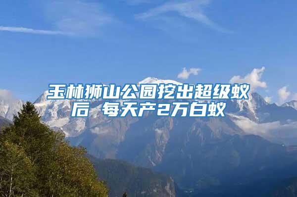 玉林狮山公园挖出超级蚁后 每天产2万白蚁