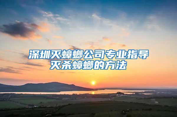 深圳灭蟑螂公司专业指导灭杀蟑螂的方法