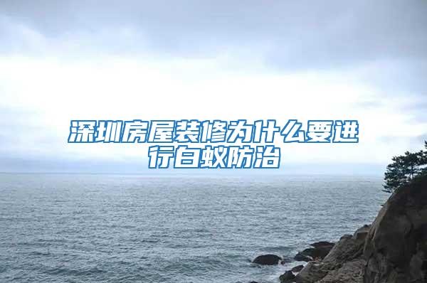 深圳房屋装修为什么要进行白蚁防治