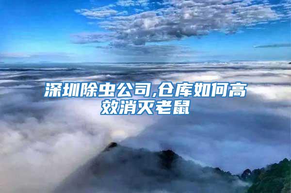 深圳除虫公司,仓库如何高效消灭老鼠