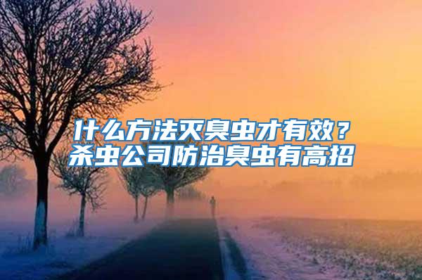 什么方法灭臭虫才有效？杀虫公司防治臭虫有高招