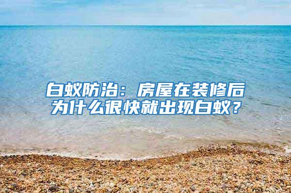 白蚁防治：房屋在装修后为什么很快就出现白蚁？