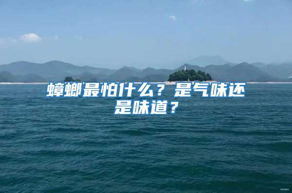 蟑螂最怕什么？是气味还是味道？