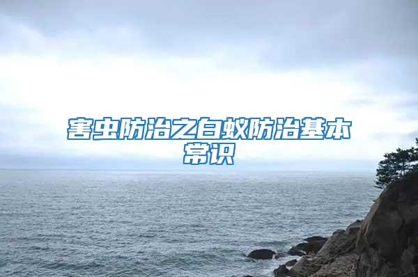 害虫防治之白蚁防治基本常识