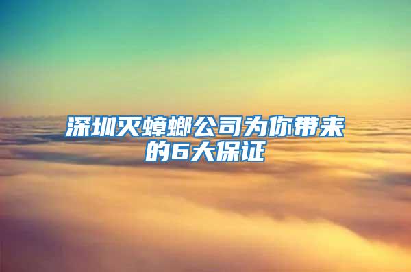 深圳灭蟑螂公司为你带来的6大保证