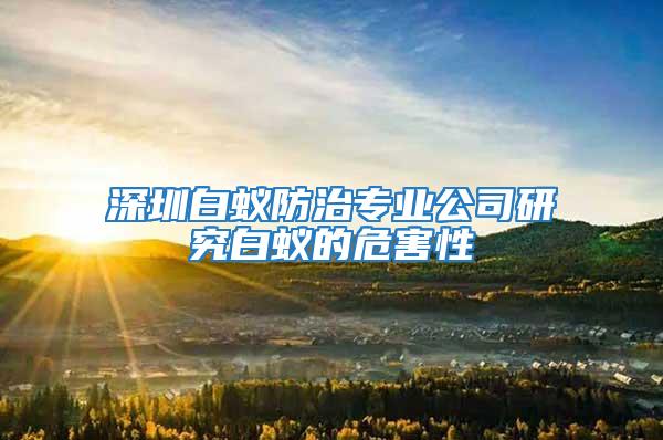 深圳白蚁防治专业公司研究白蚁的危害性