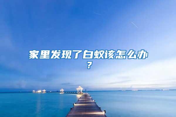 家里发现了白蚁该怎么办？