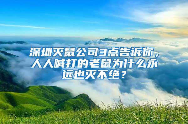 深圳灭鼠公司3点告诉你，人人喊打的老鼠为什么永远也灭不绝？