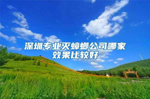 深圳专业灭蟑螂公司哪家效果比较好