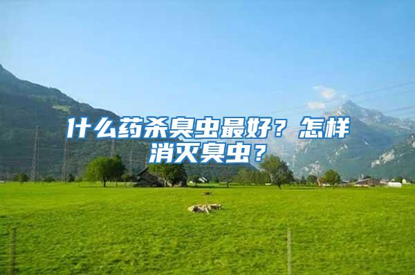 什么药杀臭虫最好？怎样消灭臭虫？