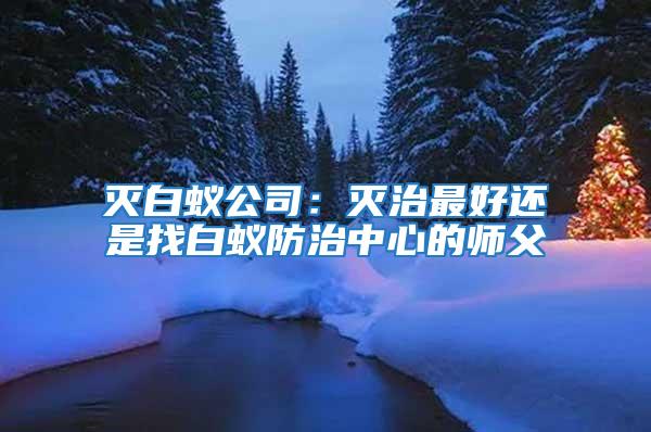 灭白蚁公司：灭治最好还是找白蚁防治中心的师父