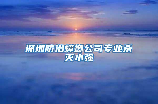 深圳防治蟑螂公司专业杀灭小强