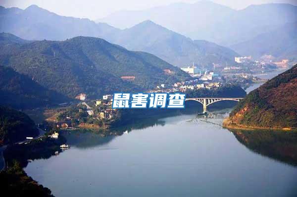 鼠害调查