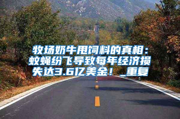 牧场奶牛甩饲料的真相：蚊蝇纷飞导致每年经济损失达3.6亿美金！_重复