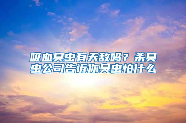 吸血臭虫有天敌吗？杀臭虫公司告诉你臭虫怕什么