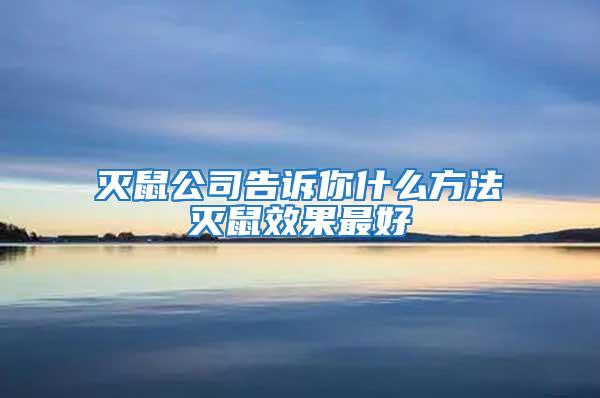 灭鼠公司告诉你什么方法灭鼠效果最好