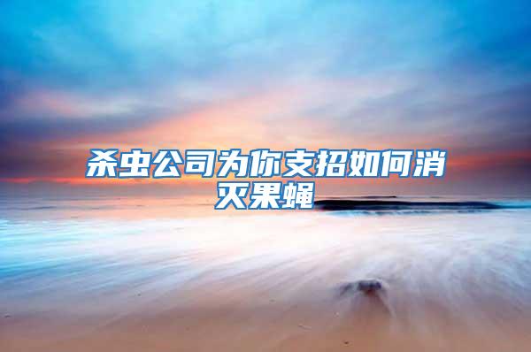 杀虫公司为你支招如何消灭果蝇