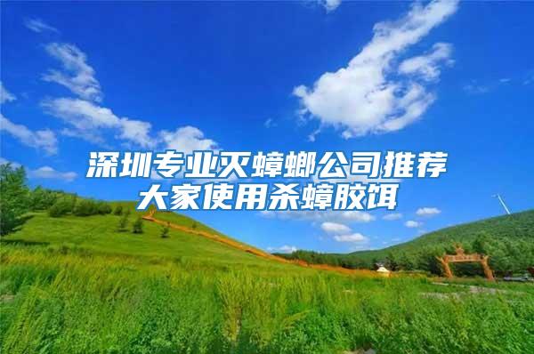 深圳专业灭蟑螂公司推荐大家使用杀蟑胶饵