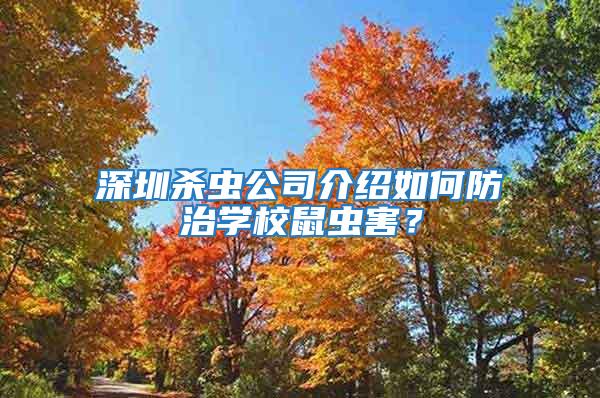 深圳杀虫公司介绍如何防治学校鼠虫害？