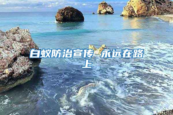 白蚁防治宣传 永远在路上