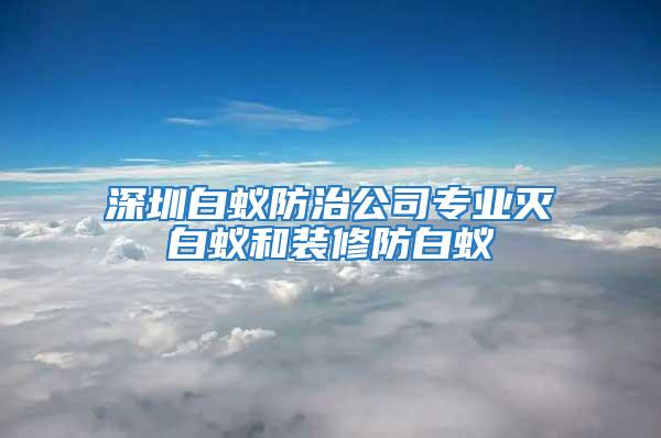 深圳白蚁防治公司专业灭白蚁和装修防白蚁