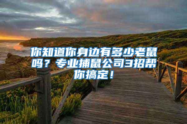 你知道你身边有多少老鼠吗？专业捕鼠公司3招帮你搞定！