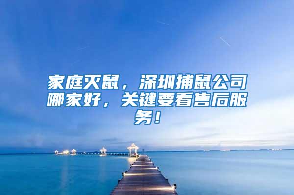家庭灭鼠，深圳捕鼠公司哪家好，关键要看售后服务！