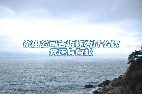 杀虫公司告诉你为什么秋天还有白蚁