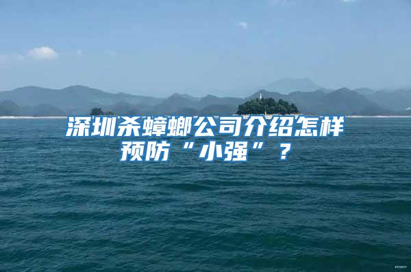 深圳杀蟑螂公司介绍怎样预防“小强”？