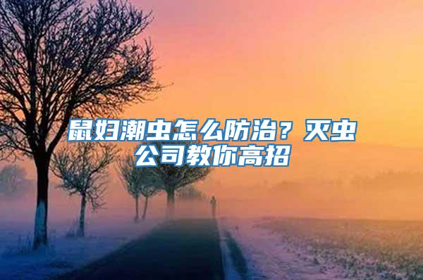 鼠妇潮虫怎么防治？灭虫公司教你高招